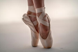 prima-ballerina-ballet-blog