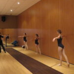 klassiek-ballet-niveaulessen-zwolse-balletschool-zwolle